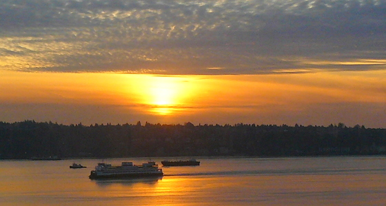 Ferry on Elliott Bay at sunset.JPG